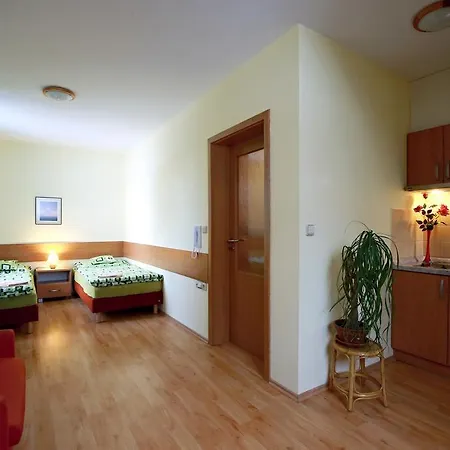 Guest house Wellness Pod Rozhlednou Kostelec nad Orlici