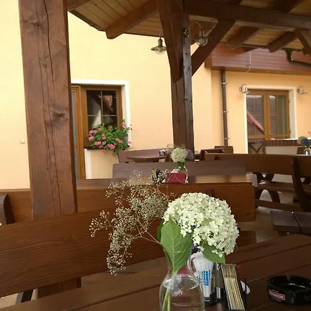 Guest house Wellness Pod Rozhlednou Kostelec nad Orlici